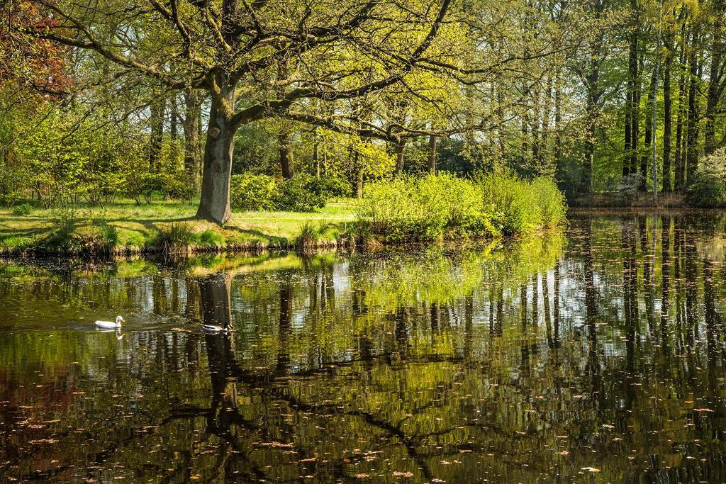 Hotel Kasteel De Essenburgh Hierden Kültér fotó